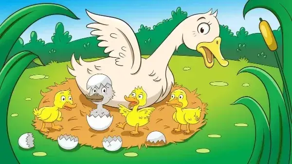 Mommy duck with eggs and hatched gray duckling cozy bedtime stories